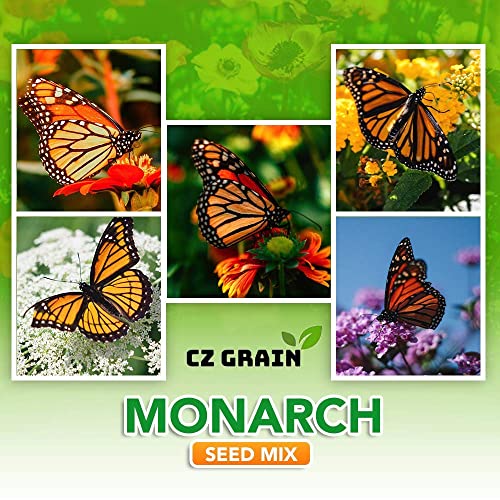 Monarch Butterfly Garden Kit -28 Species Of Perennial Milkweed And Wildflower Seeds - If You Grow It Monarchs Will Come - Kids Stem Project - Create A Beautiful Garden Full Of Butterflies #TOP5