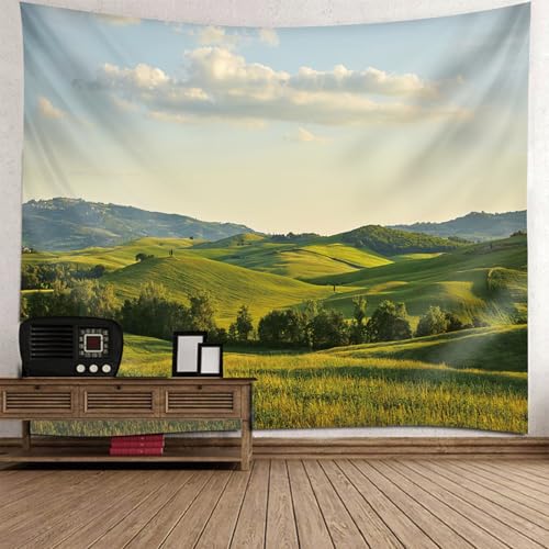 Tenture murale nature collines prairie grand tissu decoration chambre ado moderne 256x350