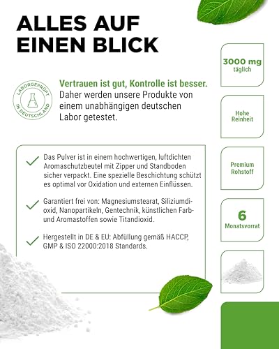 GABA Vit4Ever Pure 540 g reines Pulver ohne Zusätze