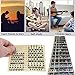 ViaGasaFamido Etichetta in Scala Musicale, Adesivo Creativo Tastiera per Chitarra Nota Tastiera per Nota Adesivo per Chitarra elettrica Acustica a 6 Corde