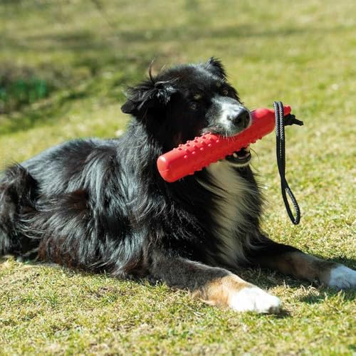 Procyon Apportier-Dummy TPR - EIN gut sichtbarer, großer Hunde-Dummy aus hygienischem, weichem TPR-Gummi, Rot