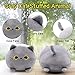 Desdfcer Kuscheltier Katze 18CM Graue Katze Plüschtiere, Kuschelige weiche Kissen für Kinder, Jungen und Mädchen, Wohnkultur