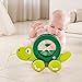 Hape Tito Pull Along | Wooden Turtle with Swirling Shell Pull Toddler Toy, Green