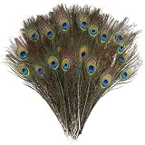 Todas las plumas son aproximadamente del mismo tamaño, por lo que son ideales para manualidades y decoración.