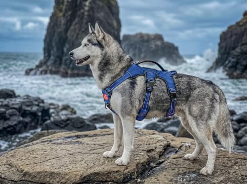 Image of Tuff Pupper Escape Proof No Escape Dog Harness | 5 Point Adjustable Fit Harness for Dogs | Padded Dog Harnesses | Handle Dog Lift Harnesses