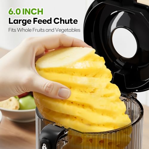 Automatic Cold Press Juicer Machine