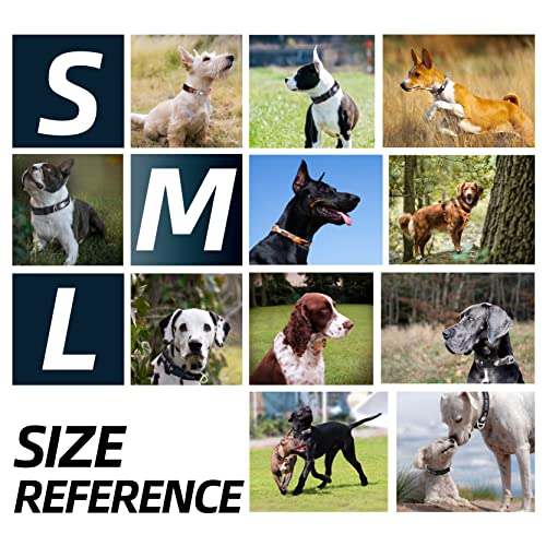 Jc House Soft Padded Dog Collar, Neck 12’’-20’’, Adjustable Heavy Duty Collar With 3M Reflective Logo For Medium, Large Dogs, Camo Green, M #TOP5