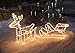 Produktbild Wetelux LED Rentier mit Schlitten, warmweiß