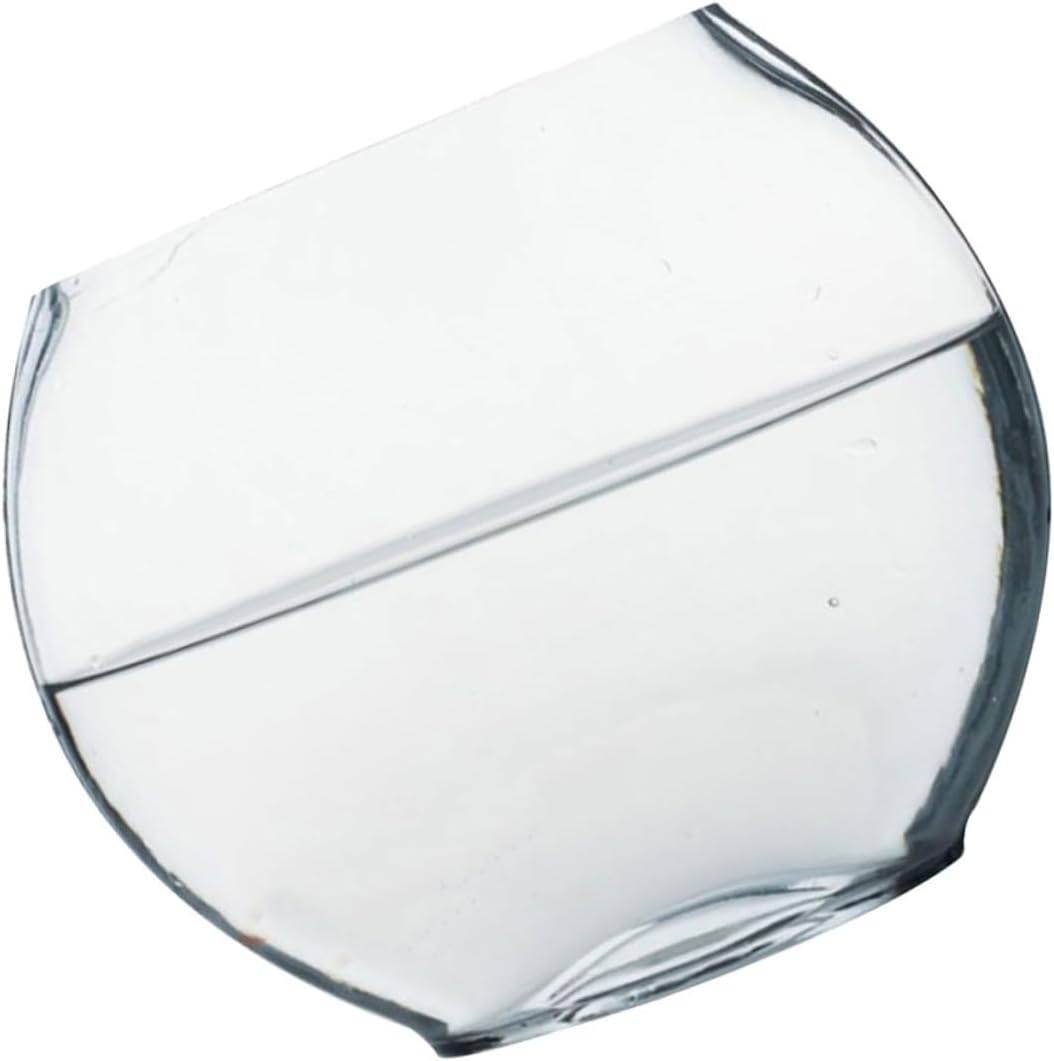 BESPORTBLE Transparent Glass Fish Bowl Planter Small Ecological Aquarium Tank for Betta Fish and Hydroponic Plants Delicate Micro Landscape Terrarium Decoration for Home and Office