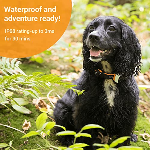 Pawfit 3S Gps Tracker For Dogs: Ip68 Waterproof, Live Tracking, Pet Activity Monitor, Up To 30 Days Battery Life, Built-In Light & Alarm, Voice Recall, Unlimited Range #TOP4