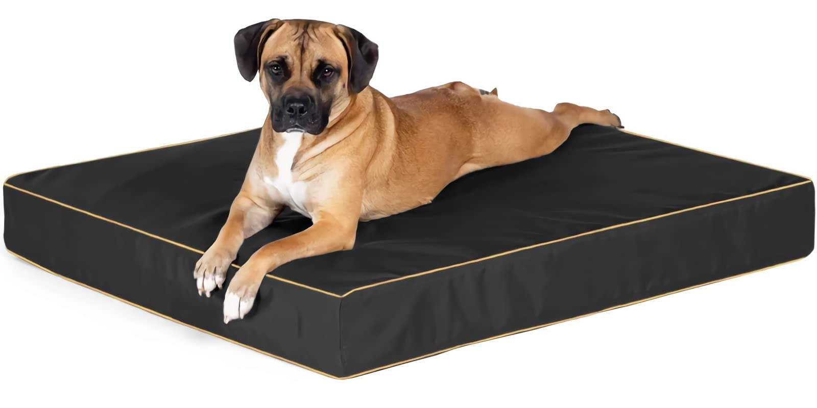 Funda de Cama para Perro de 76 cm de Largo x 50 cm de Ancho x 10 cm de Alto. Fundas de Repuesto para Cama de Perro Oxford Resistentes y duraderas con Cremallera. Funda Protectora de colchón