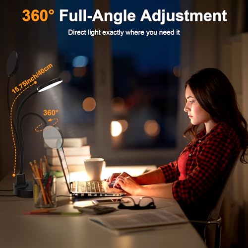 ZAPLIT 15W LED Schreibtischlampe mit USB-A & USB-C – Dimmbar, 3 Farbtemperaturen, 5 Helligkeitsstufen, 4 Timer, Flexibler 360° Schwanenhals, Augenschonend, Tischlampe für Büro & Schlafzimmer - Schwarz
