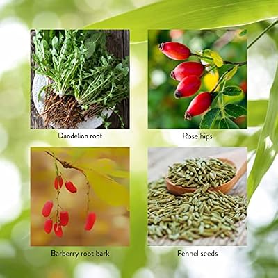 Nature's Sunshine LIV-J, 100 Capsules | Herbal Blend Supports Digestion by Nourishing the Liver and Spleen and May Help to Cleanse the Digestive System