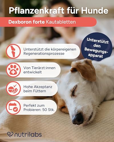 NutriLabs Dexboron® forte Hunde Kautabletten 50 STK. - Tabletten mit Teufelskralle für Hunde - Hunde Regenerationsmittel mit Weidenrinde, Weihrauchextrakt u.v.m. - Hunde Regenerationsmittel
