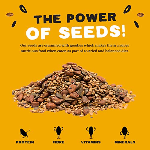 Munchy Seeds Warm Cinnamon, Sunflower, Pumpkin, Protein Snack, Plant-Based Fibre & Vitamin E,Sweet & Delicious To Eat,Vegan Snacks For Kids,Add to Cereal, Porridge or Yoghurt - 450g Mega Pack - Image 7