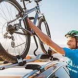 10 Stück 50cm Schwarz Spanngurte Kurz,Befestigungsgurte Befestigungsriemen für Fahrrad,Gurte zum Befestigen Fahrradträger,Verstellbare Zurrgurte mit Klemmschloss,Zurrgurt für Motorrad Gepäck