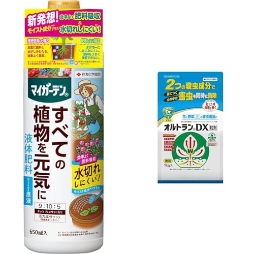 yZbgzZFw| 엿 }CK[ft̔엿 650ml+E IgDX 1kg