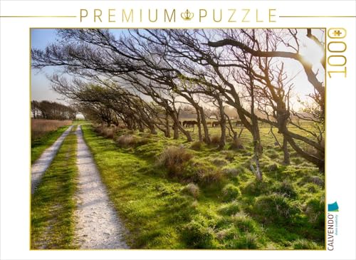 CALVENDO- Puzzle, Multicolor, 1000 Teile (4064076334021)