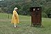 Das Baby mit dem Goldzahn [Special Edition] [2 DVDs]