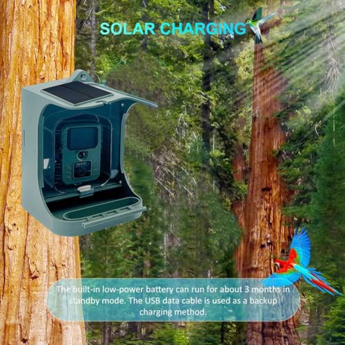 Alimentateur d'oiseaux caméra WiFi 1080P panneau solaire