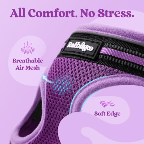 Image of rabbitgoo Cat Harness and Leash Set, Step-in Soft Vest, Purple-Light Purple