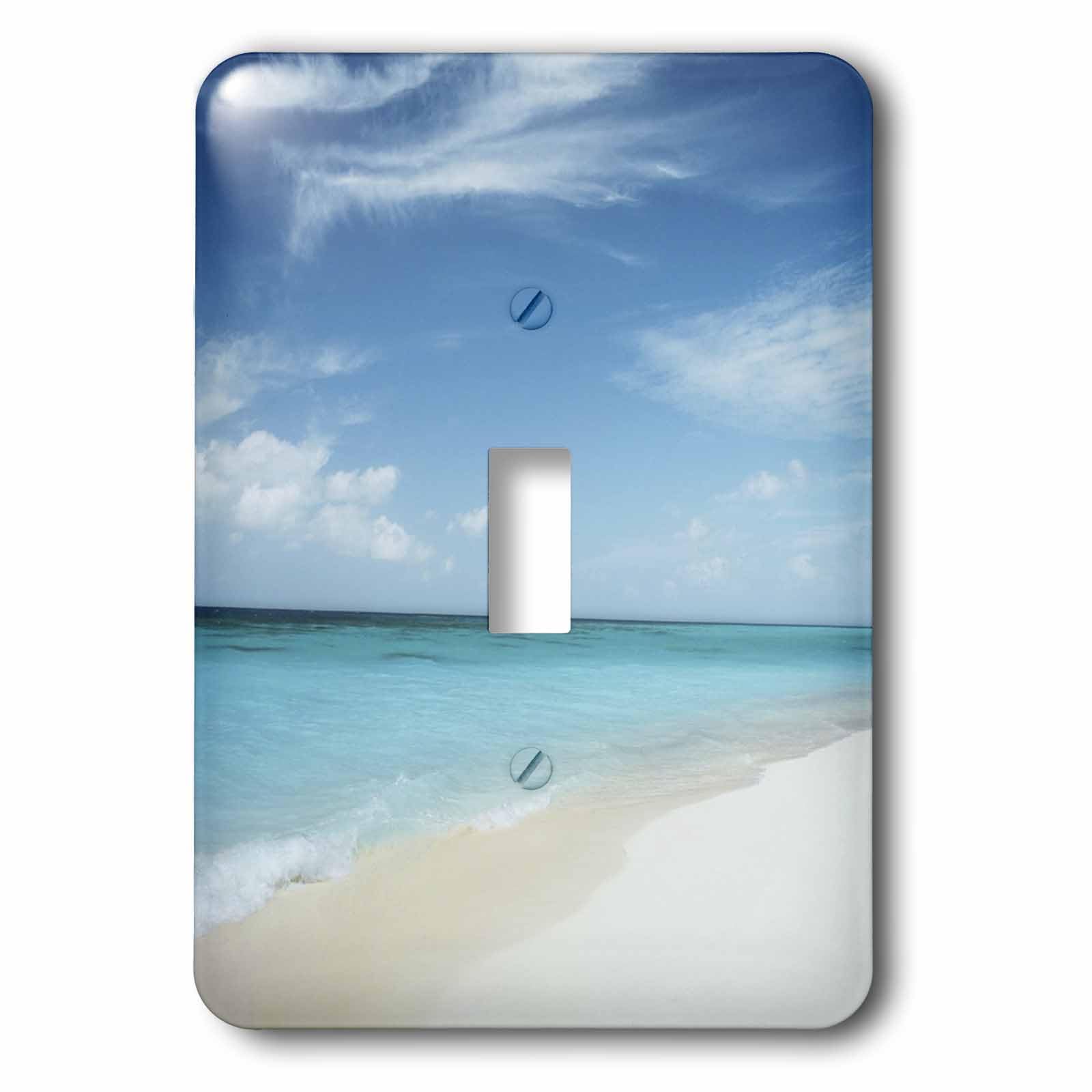 Remplacer un interrupteur triste par le modèle décoratif plage 3drose LSP 51514 1