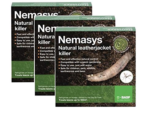 Nemasys Leatherjacket Killer nematode treatment (300 sqm)