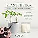 KOBO Wild Tomato Vine Candle with Plantable Box (9 oz) | Plant The Box Collection, 100% Pure Soy Wax Candles | Hand-Poured in USA | Long Lasting 60 Hour Burning Candles | Scented Candles for Home