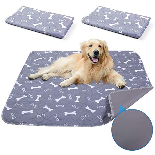 Amazon.co.uk Best Sellers The most popular items in Reusable Dog
