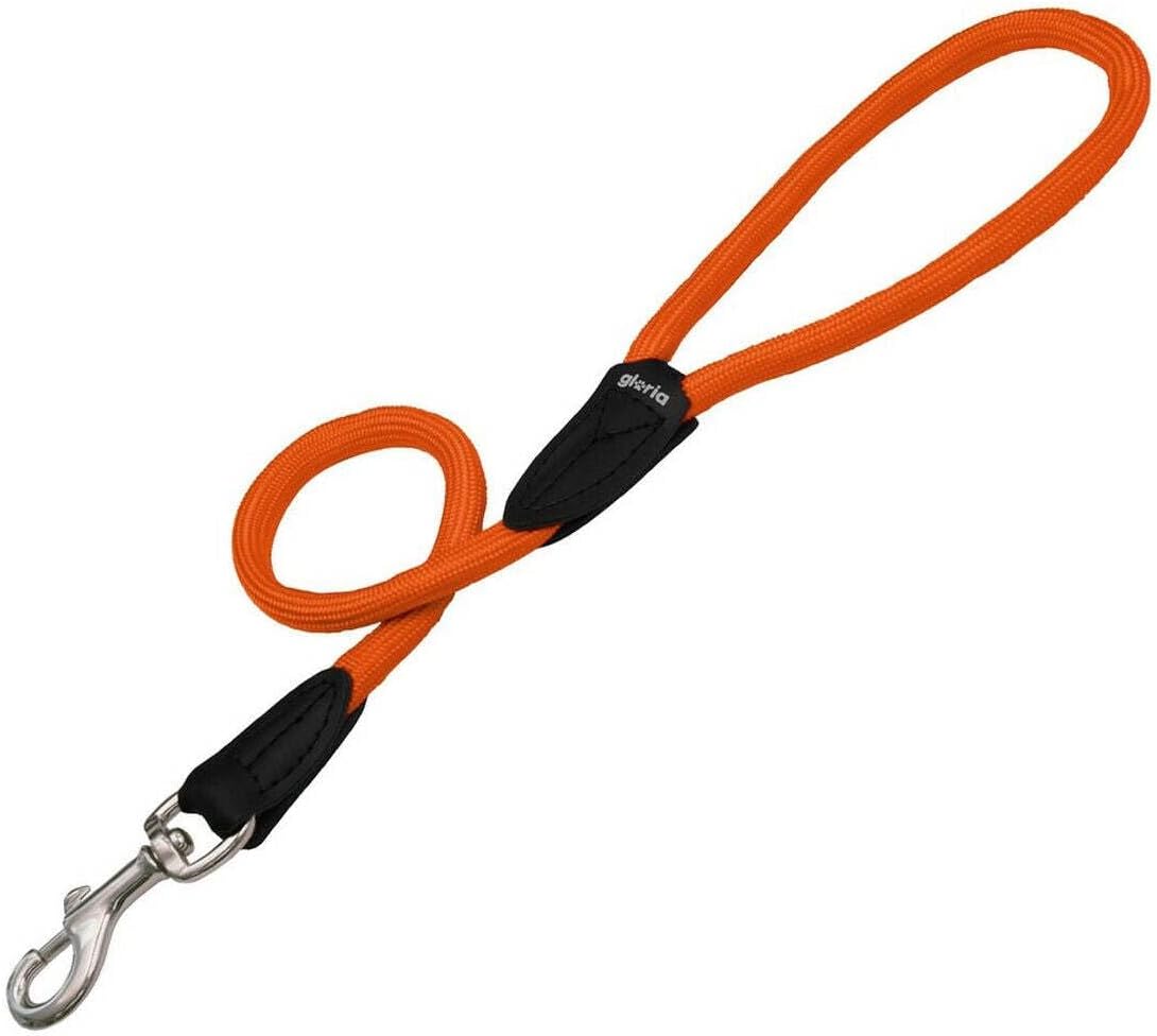 Gloria Round Nylon Lead for Dogs, Dog Lead, Walking, Pet Supplies (Wide Long) (Orange)