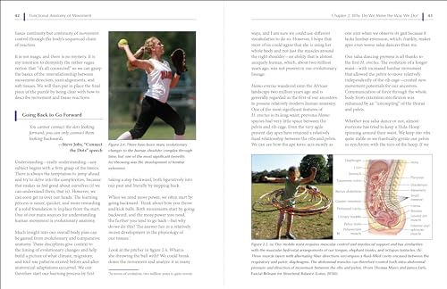 Functional Anatomy of Movement: An Illustrated Guide to Joint Movement, Soft Tissue Control, and Myo