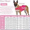 Kodervo Dog Anxiety Vest, Skin-Friendly Thunder Jacket for Dogs, Dog Calming Shirt for Thunder, Fireworks, Vet Visits and Separation - Keep Pet Calm Without Medicine, Fit for Small Medium Large Dogs #5