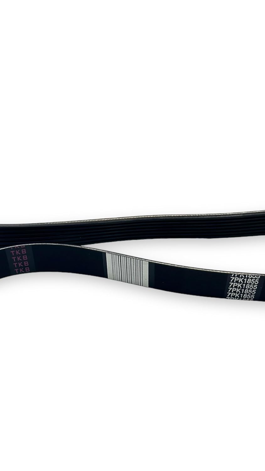 Fan Belt for Caterpillar 3116 (6.6L), 3126 (7.2L) 15690236