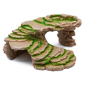 Svauoumu Reptilien Unterschlupf Höhle