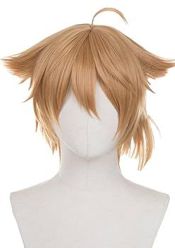 にじさんじ 伏見ガク コスプレウィッグオーダー 伏見ガク 伏見 ガク にじさんじ セット済 ウィッグ コスプレ衣装