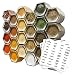 Gneiss Spice Everything Spice Kit: 24 Magnetic Jars Filled with Standard Organic Spices / Hanging Magnetic Spice Rack (Large Jars, Silver Lids)