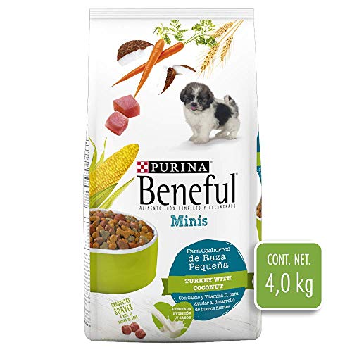 Reseñas De Beneful Croquetas Los 10 Primeros.