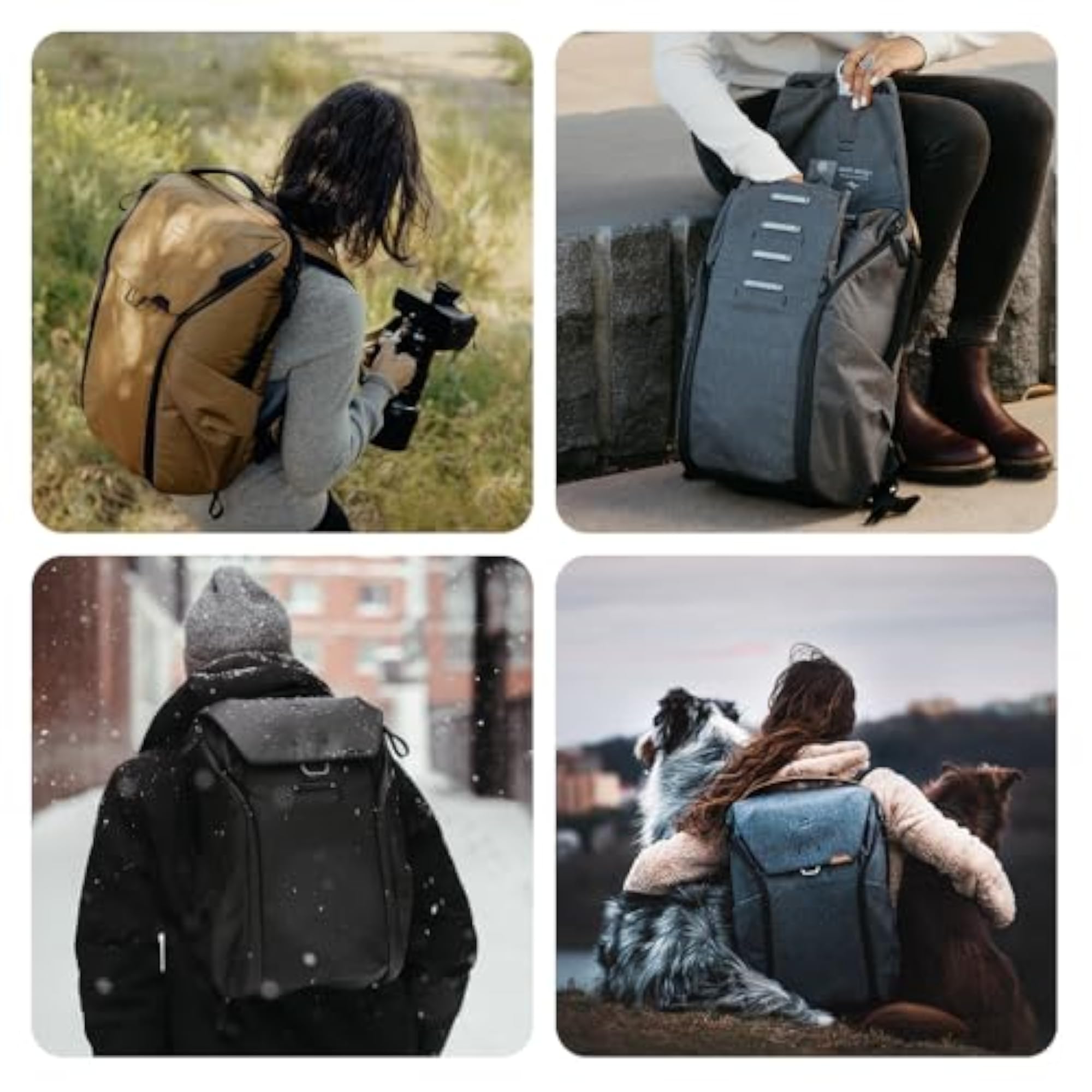 Everyday Backpack V3 20L, Ocean