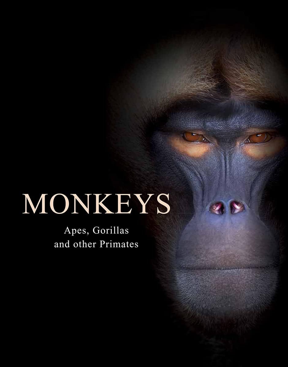 Monkeys: Apes, Gorillas and other Primates (Animals) (Animals in Photographs)