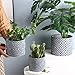 Rihihi Set of 2 Flower Pots Indoor,4.75&5.9 Inch Orchid Pots with Holes,Planter Pots for Indoor Plants,Geometric Design Concrete Planter,for Plants Succulent Cactus(Plants NOT Included)(Prussian Blue)