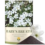 SunHaven Seeds Baby’s Breath Seeds – 20,000+ Seeds – 1 oz Bulk Resealable Packet – Quick Blooming Gypsophila elegans Flower Seeds with White Blooms for Bouquets, Borders & Wildflower Gardens