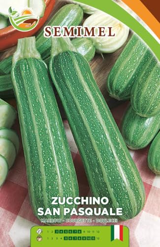Zucchino San Pasquale - Semi di Zucchino Precocissimo, Forma Cilindrica e Verde Brillante Semina da Febbraio a Luglio 3 confezioni