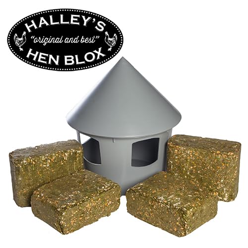 Halleys Hen Blox Starter Pack