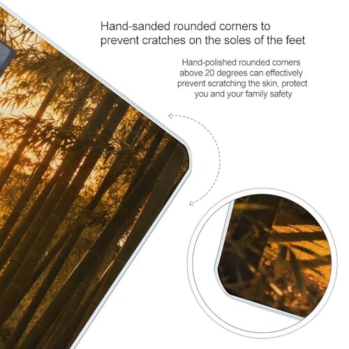 Báscula digital Sunset Bamboo Grove para baño y cuerpo miniatura 4