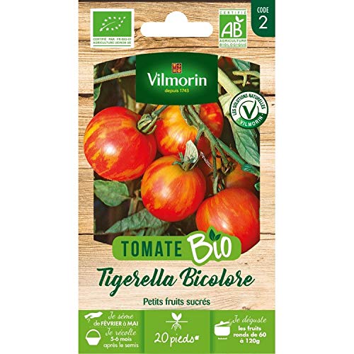Tomate Tigerella Bicolore - BIO