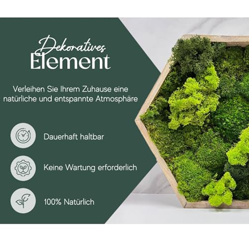 Islandmoos in 5 Farben – Natürlich konserviertes Deko-Moos (150 Gramm)