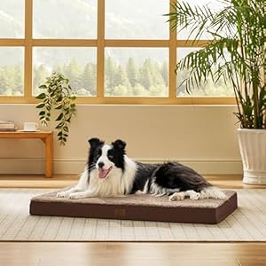 Bedsure Dog Bed for Large Dogs - Orthopedic Waterproof Puppy Beds with Removable Washable Cover, Egg Crate Foam Pet Mat, Suitable for Pet Up to 65 lbs Bedsure Dog Bed for Large Dogs Orthopedic Waterproof Puppy Beds with Removable Washable Cover Egg Crate Foam Pet Mat Suitable for Pet Up to 65 lbs