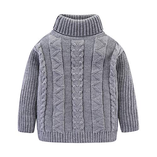 Mud Kingdom Tout-Petits Garçons Pulls Col Roulé Gris 3 Ans Unisexe Cover