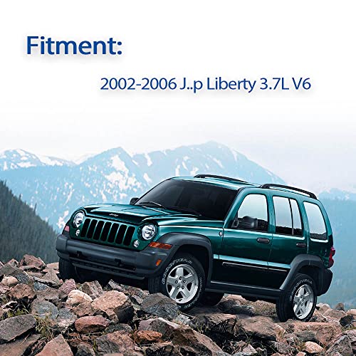 image for CHargo Power Steering Pump with Reservoir 20-64610 compatible for 2002