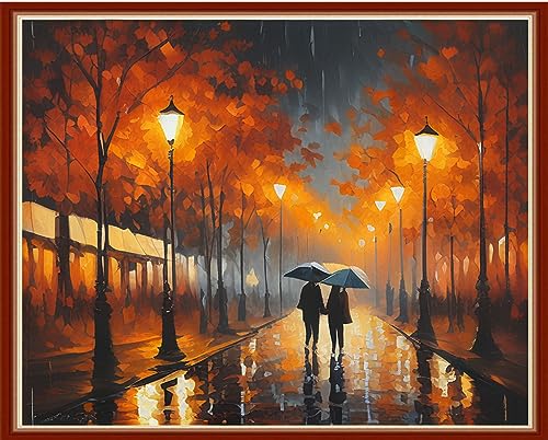 Image of Dimensean Stamped Cross Stitch Kits Full Range of Embroidery Patterns Starter Kits for Beginners Adult DIY Cross Stitches Needlepoint Kits 11CT-Strolling Rainy Night 15.7x19.7 inch